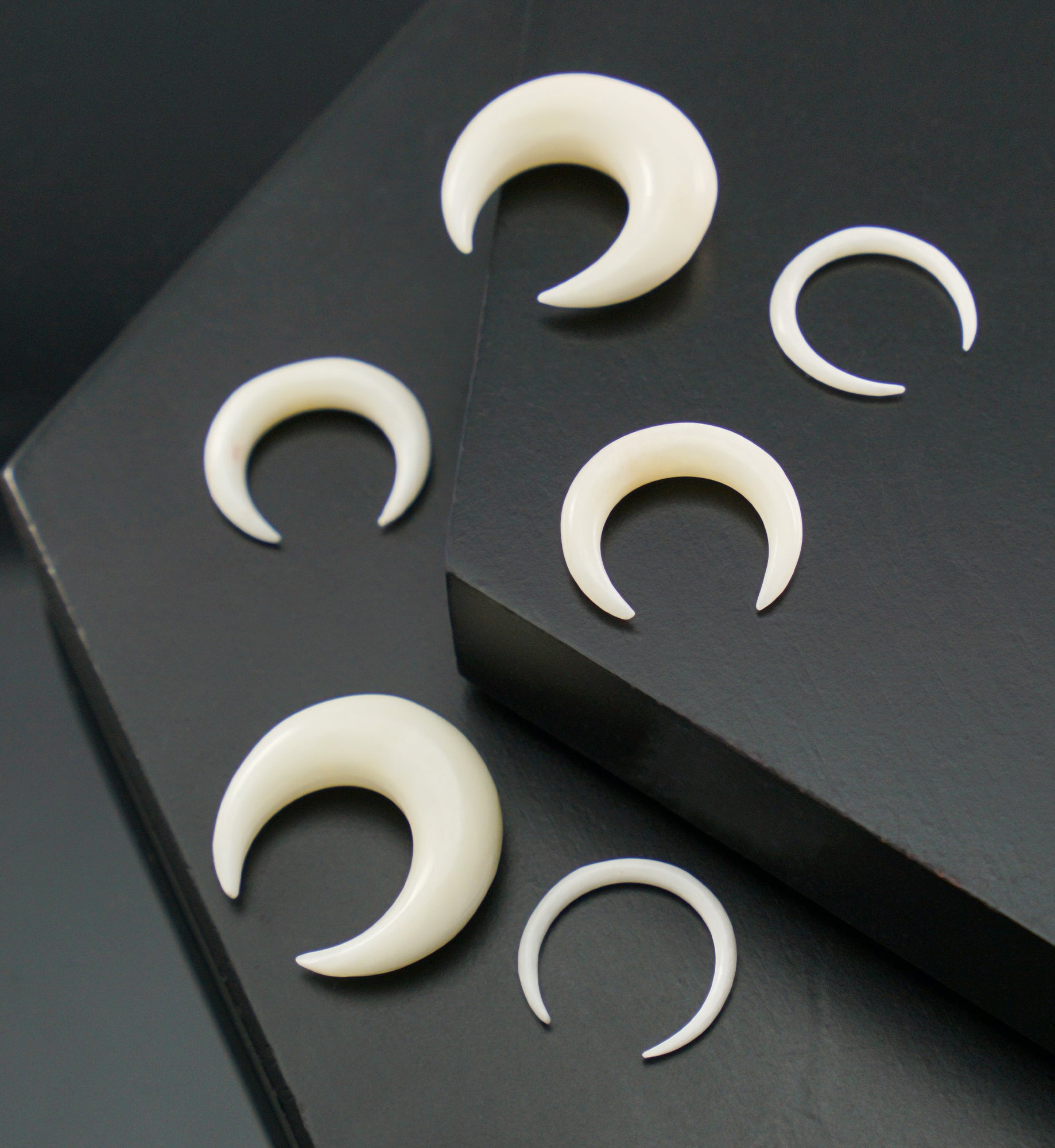 Bone Septum Pincher