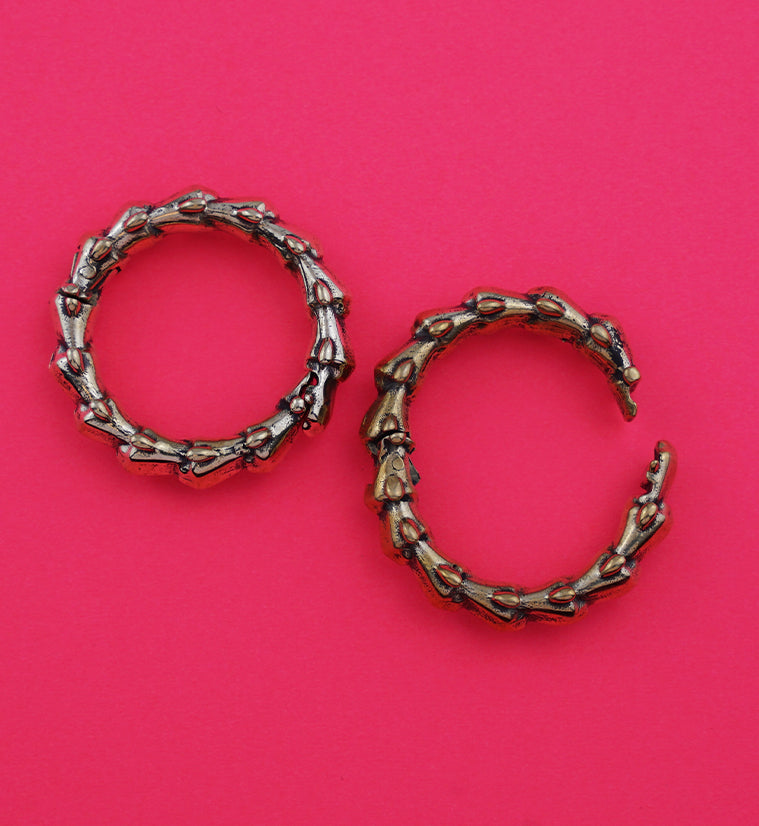 Brass Circle Of Scales Hinged Ear Weights