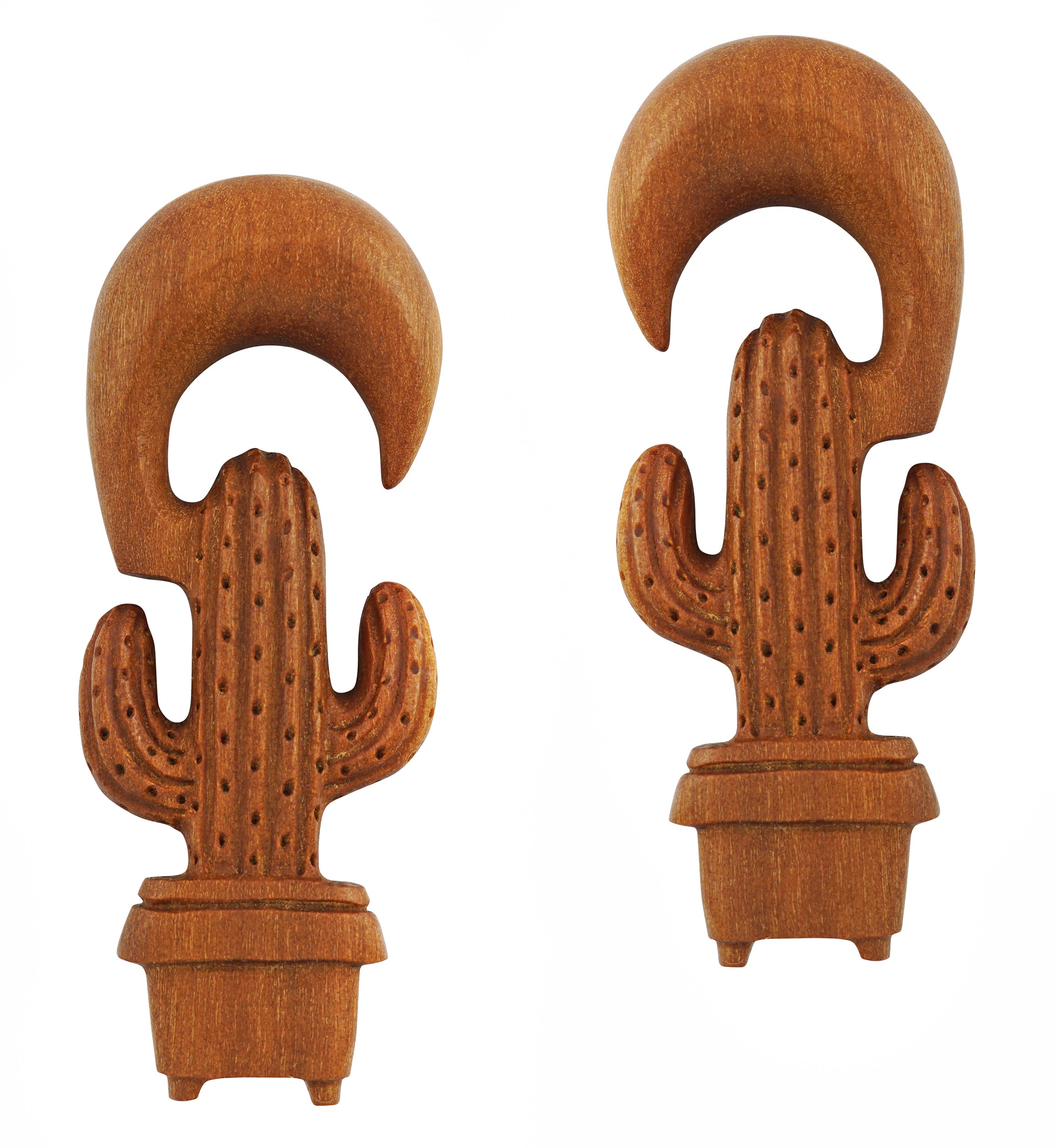 Cactus Planter Wooden Spiral Hangers