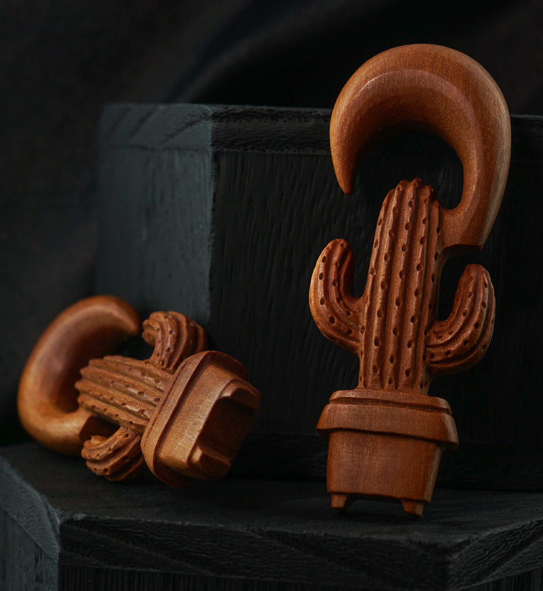 Cactus Planter Wooden Spiral Hangers