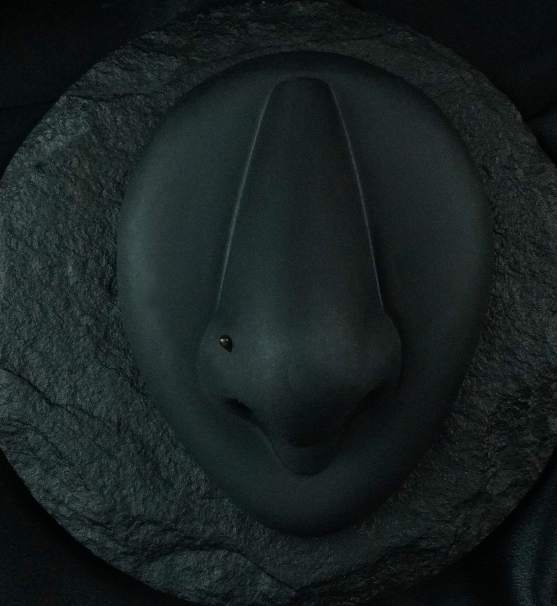 Chocolate L Bend Glass Nose Ring