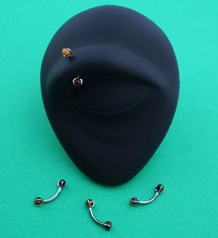 Claw Tiger Eye Stone Titanium Internally Threaded Curved Barbell