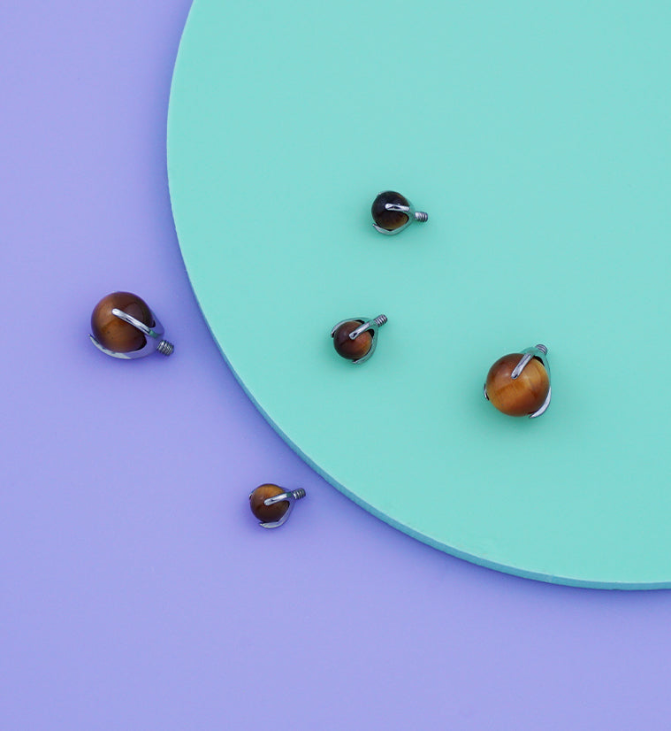 Claw Tiger Eye Stone Titanium Internally Threaded Top