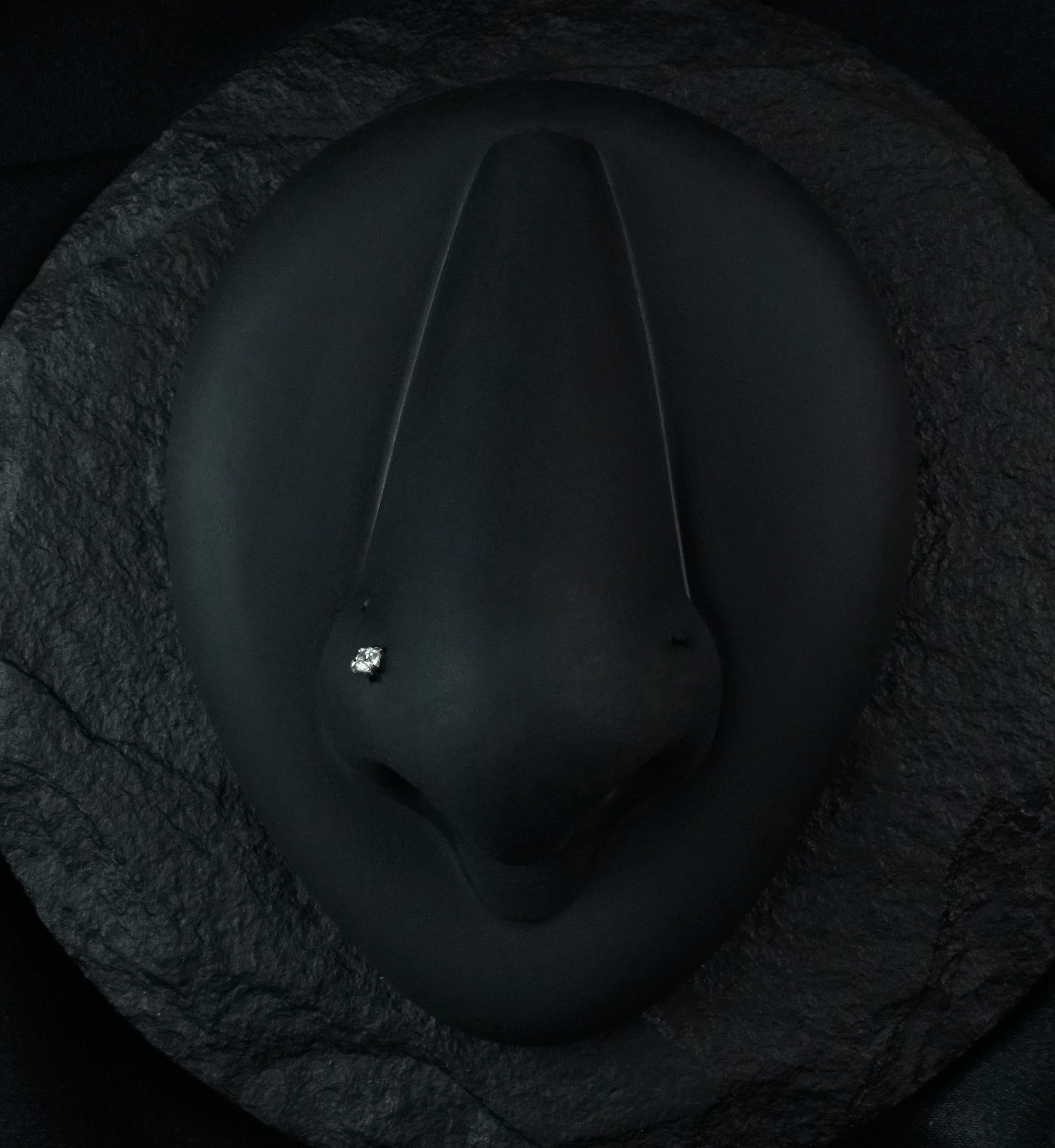 Clear Prong Set CZ Stainless Steel Nosebone