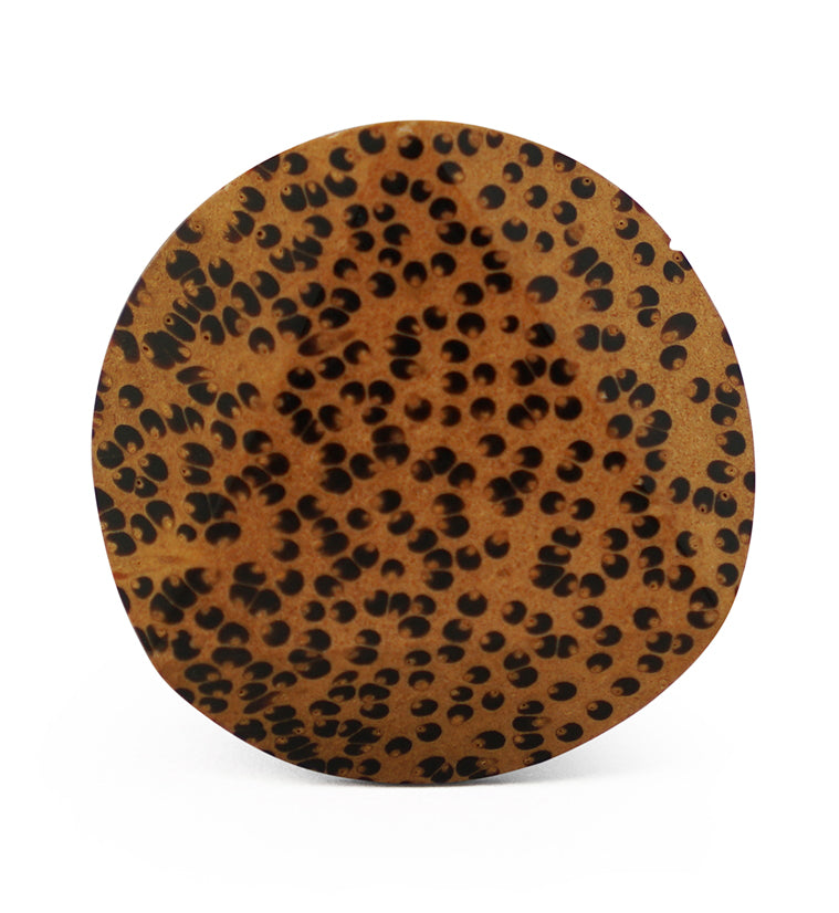 Coconut Wood Embossed Triangle Plugs