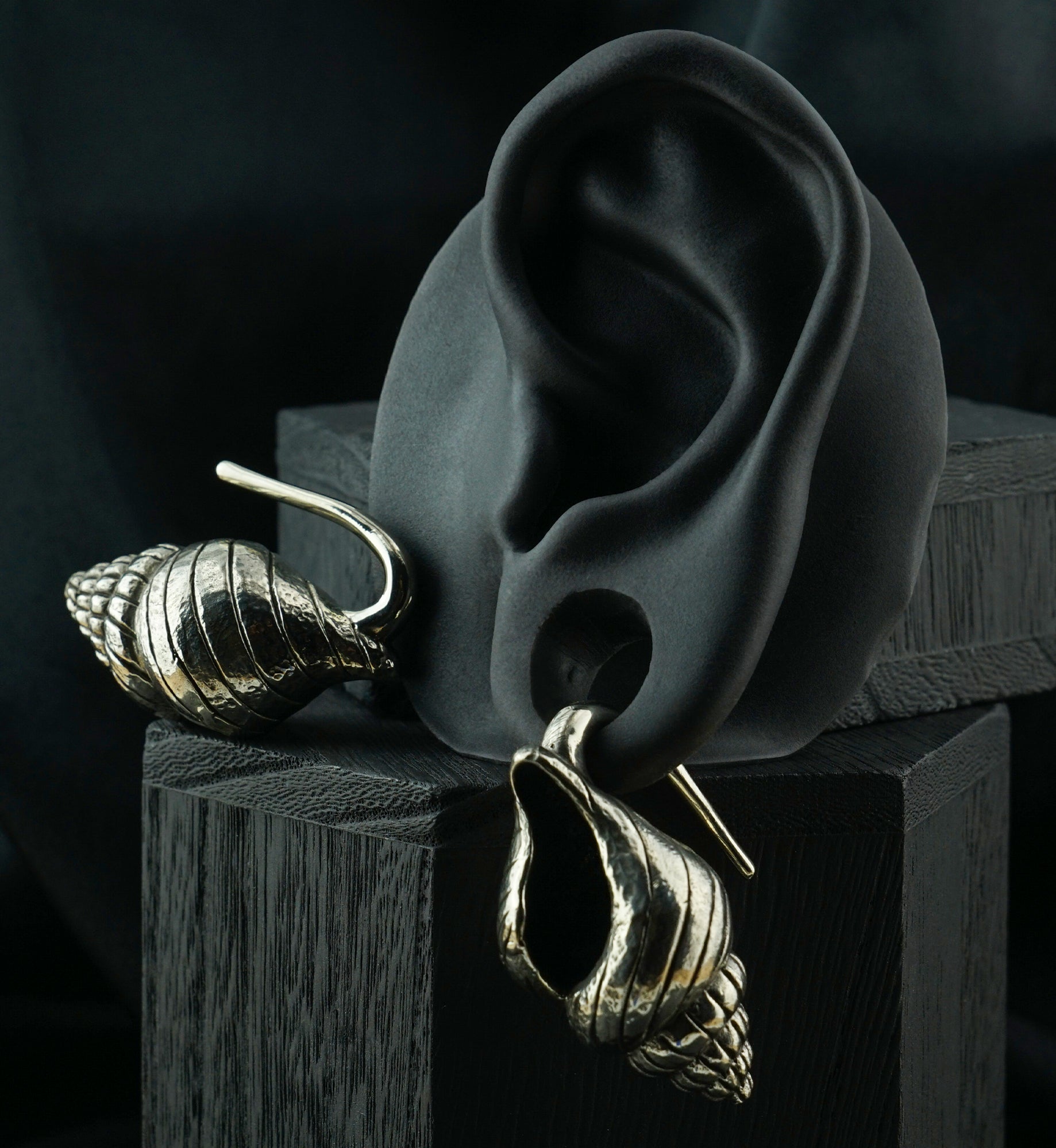 Conch Shell White Brass Ear Weights