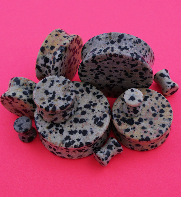 Dalmatian Jasper Stone Plugs
