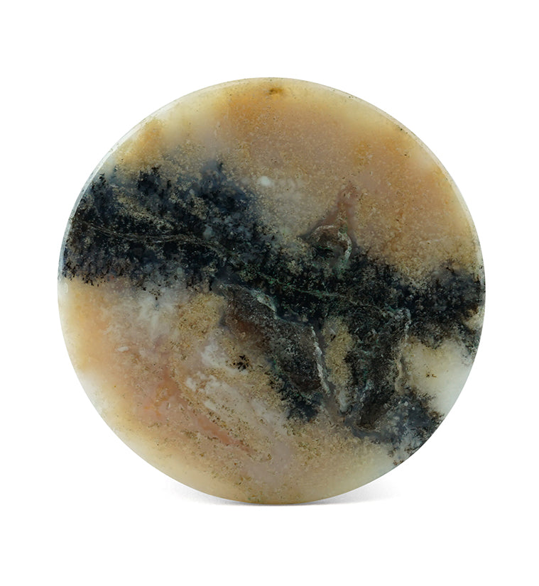 Dendrite Agate Stone Plugs