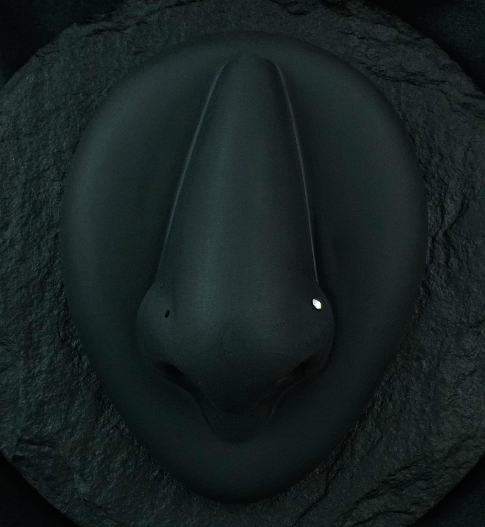 Dome Top L Bend Nose Ring