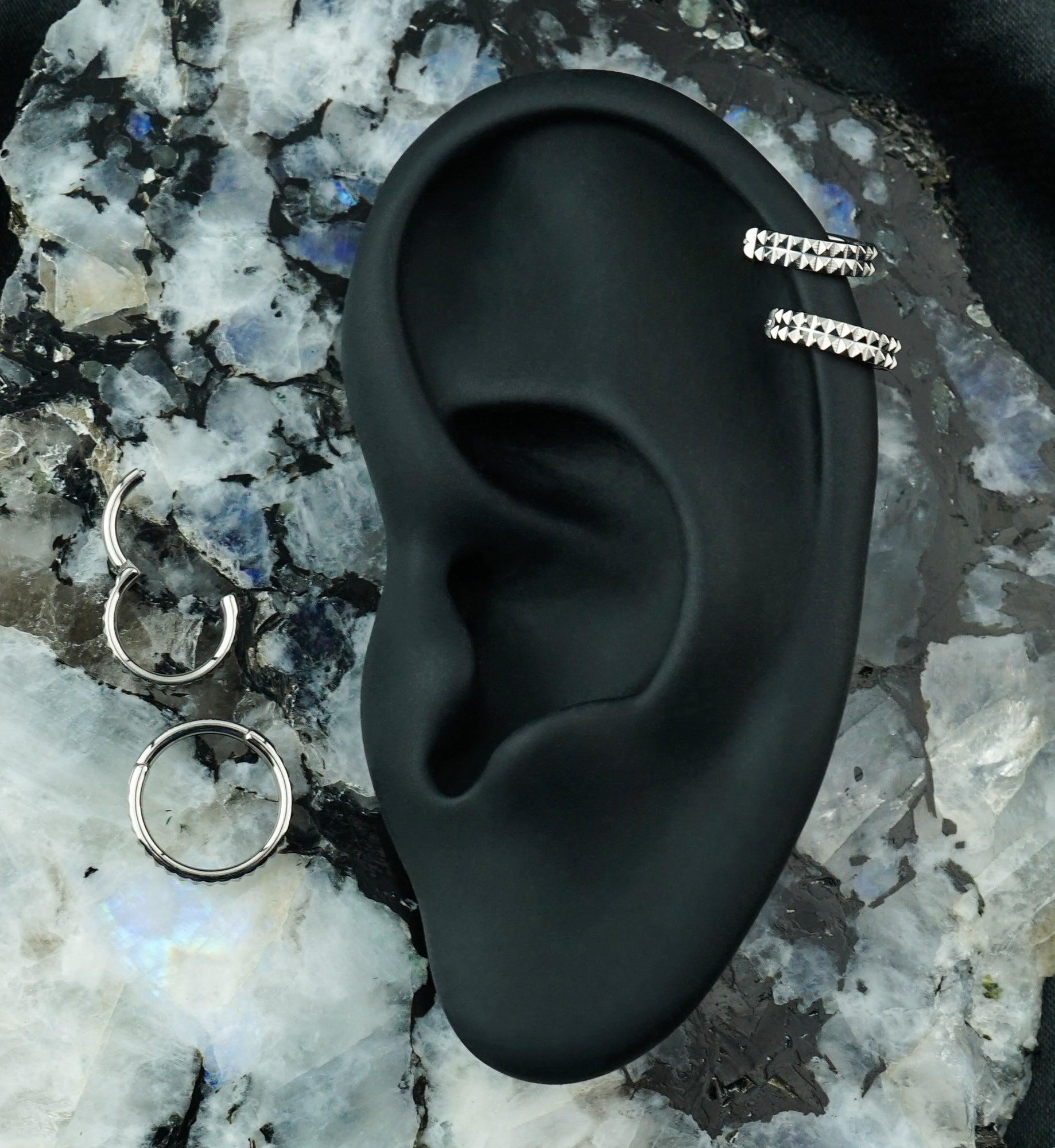 Double Stacked Studded Titanium Hinged Segment Ring