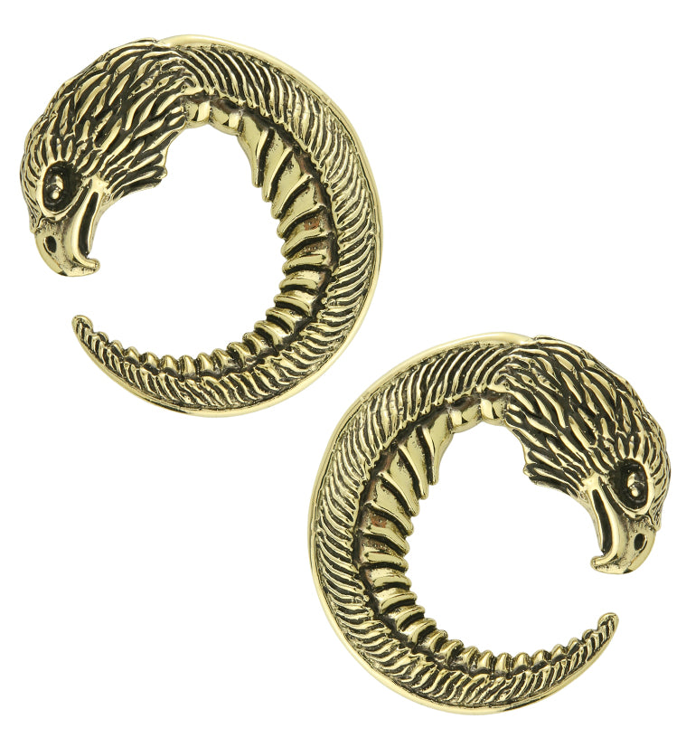 Eagle Head Circular Brass Ear Weights