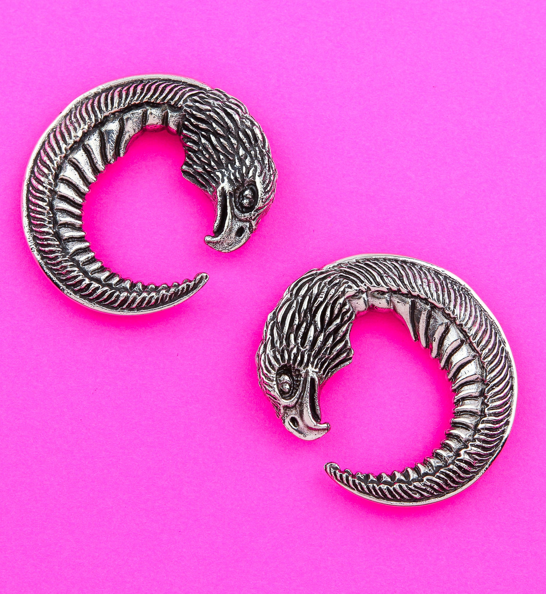 Eagle Head Circular White Brass Ear Weights