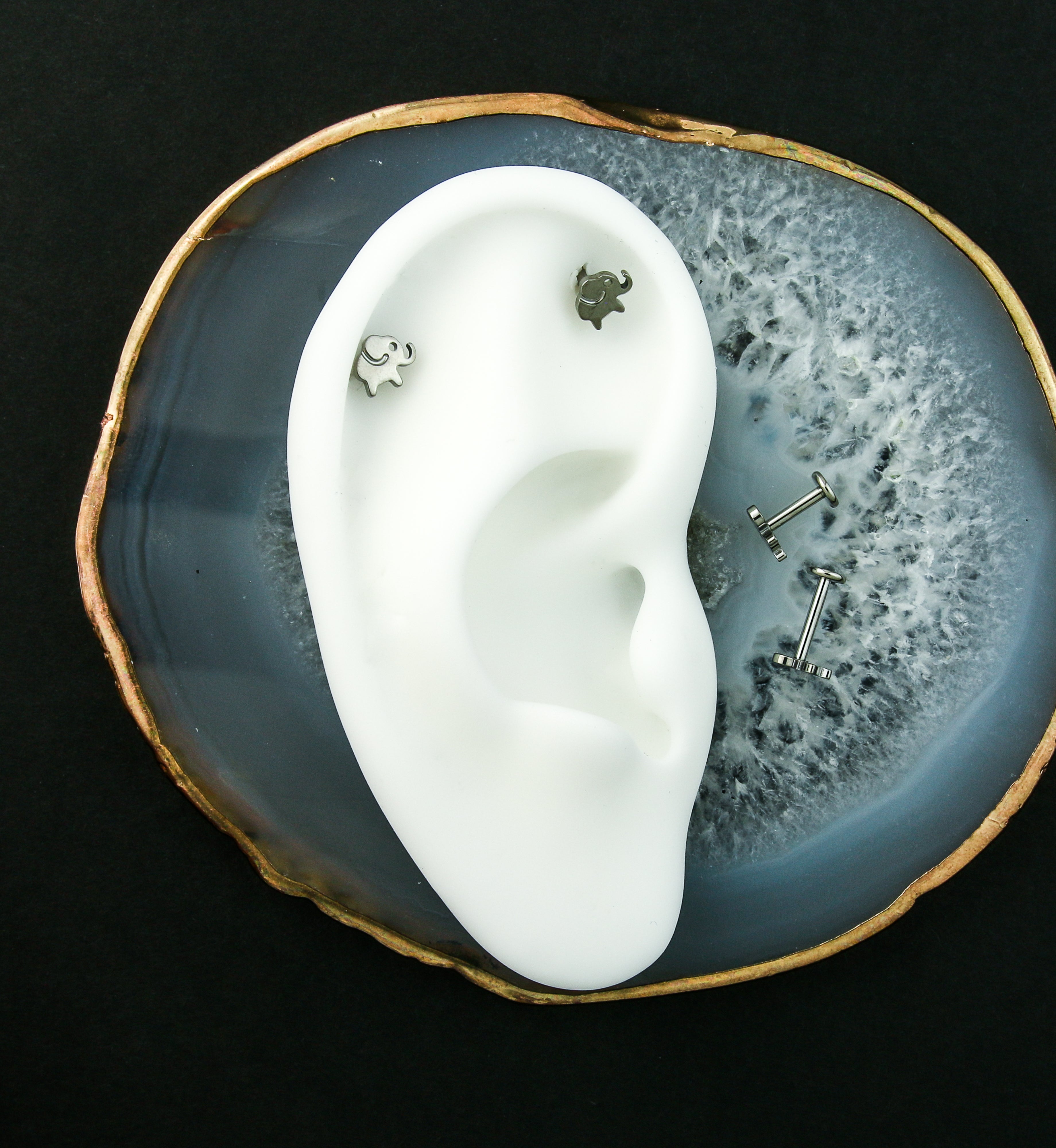 Elephant Internally Threaded Titanium Labret