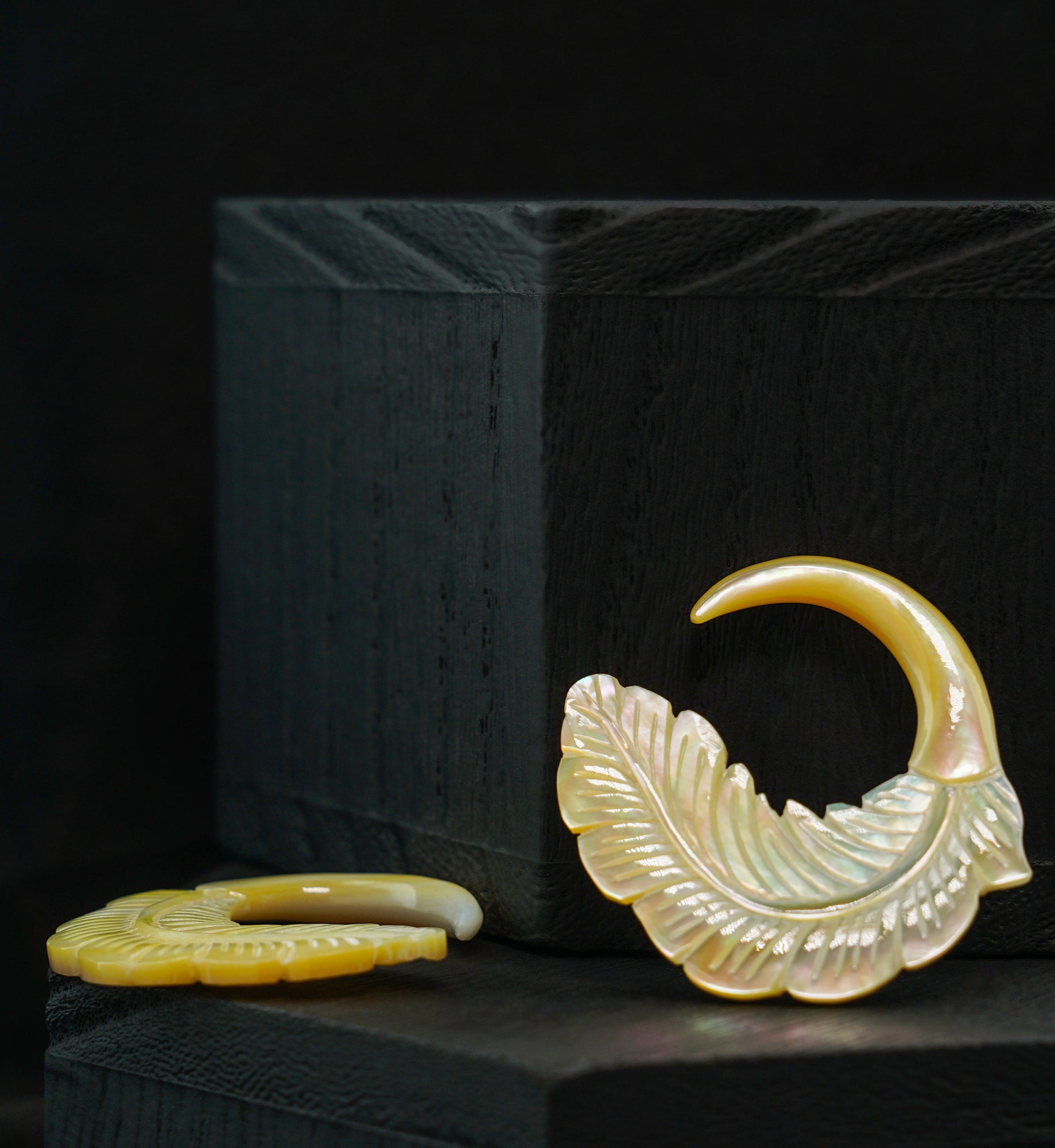 Feather Mother of Pearl Hangers