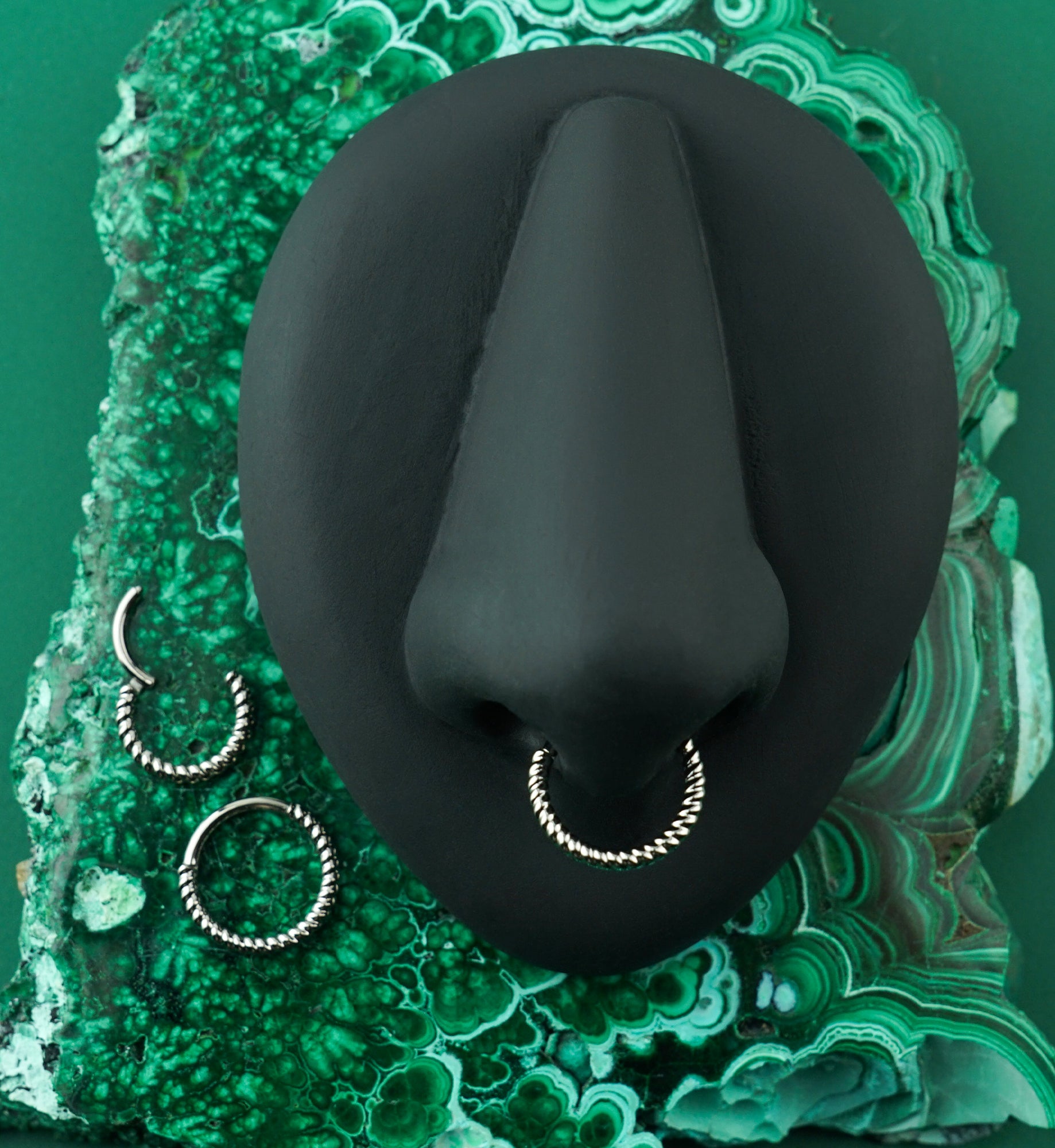 Front Facing Rolled Titanium Hinged Segment Ring