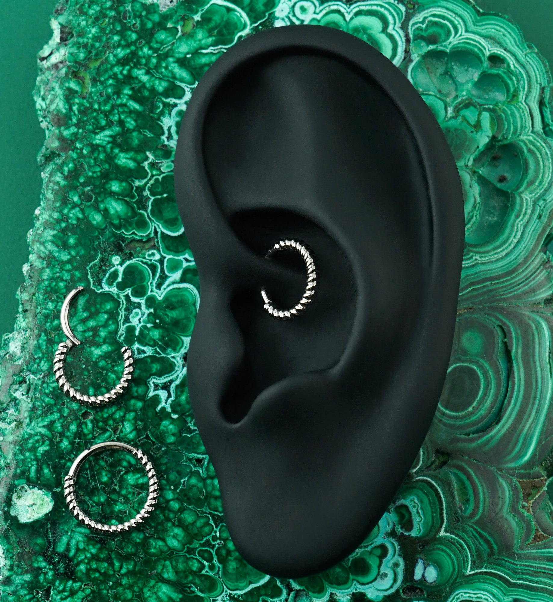 Front Facing Rolled Titanium Hinged Segment Ring