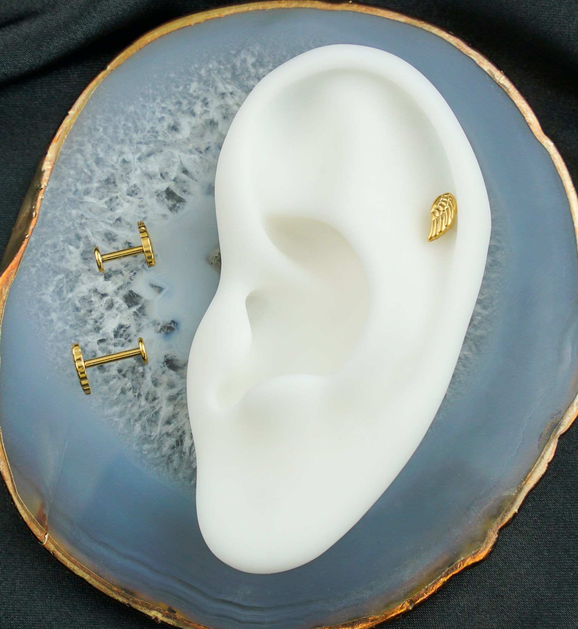 Gold PVD Angel Wing Internally Threaded Titanium Labret