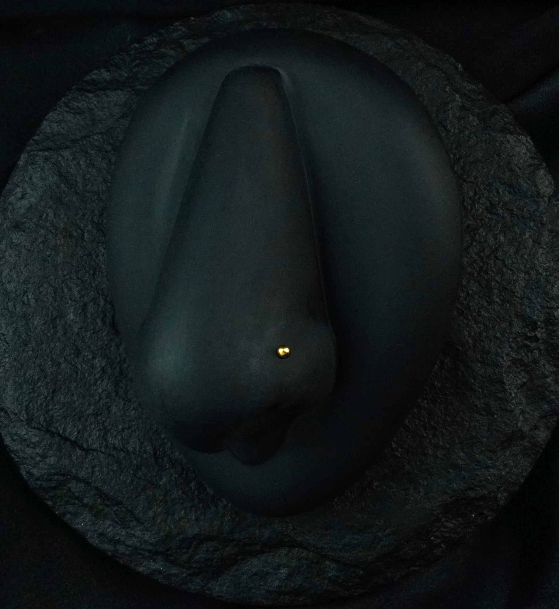 Gold PVD Ball Titanium Nose Screw