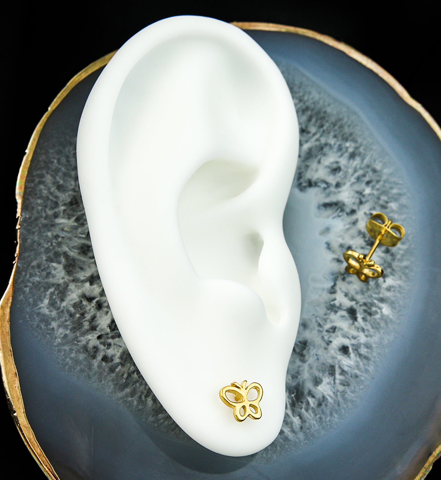 Gold PVD Butterfly Trace Stainless Steel Stud Earrings