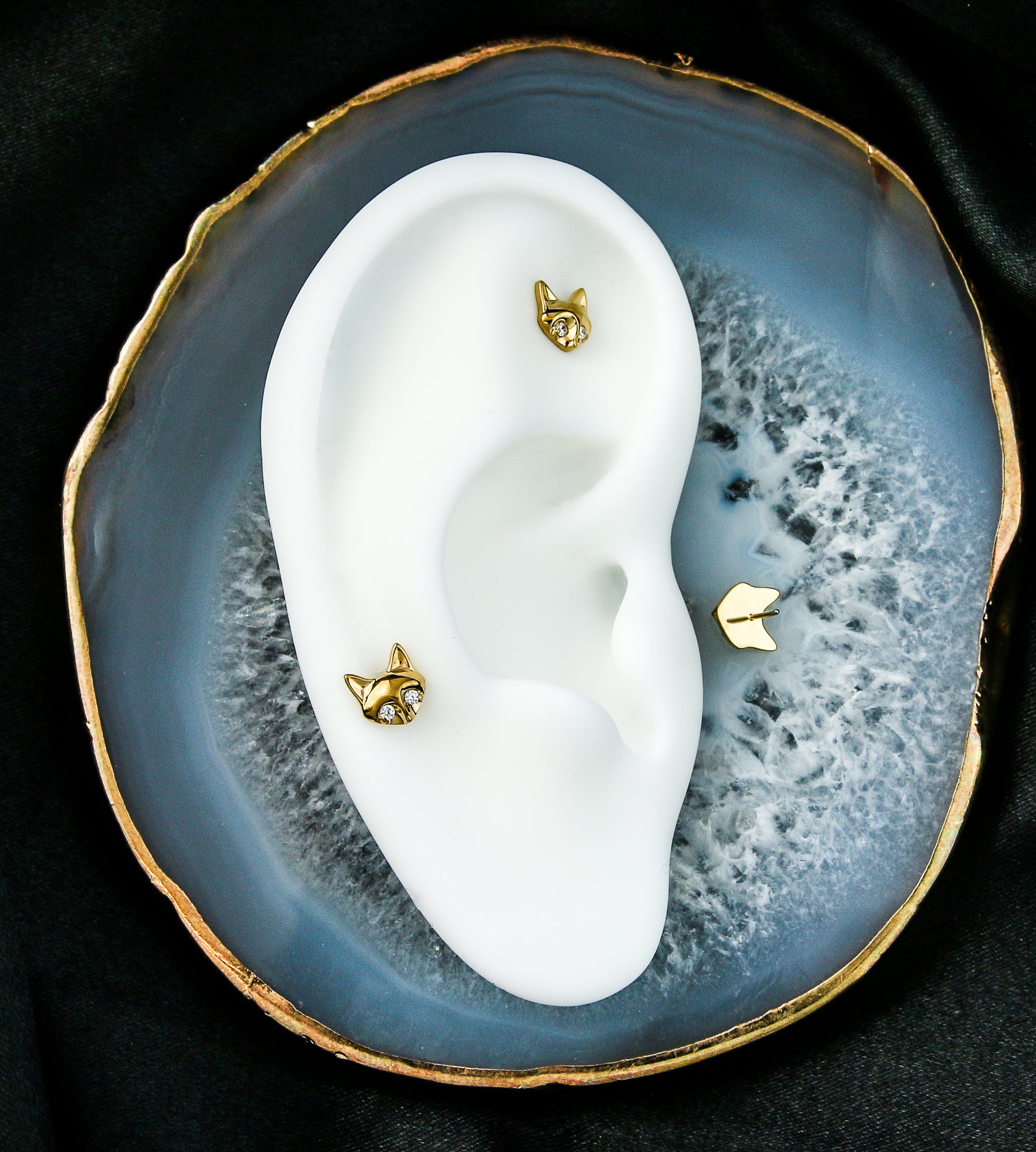 Gold PVD Fox Clear CZ Titanium Threadless Top