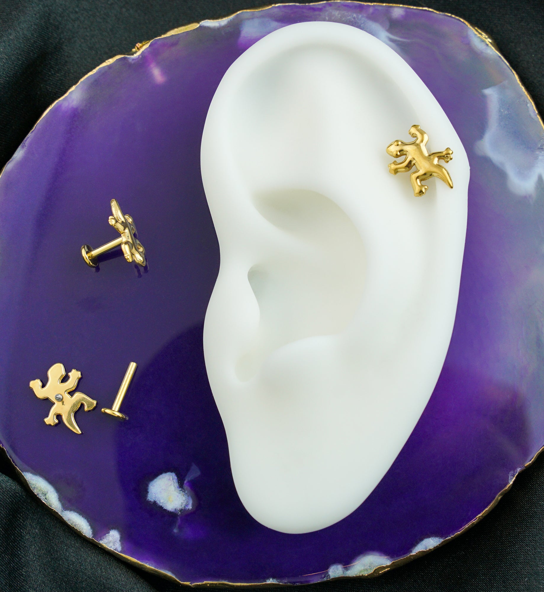 Gold PVD Gecko Internally Threaded Titanium Labret