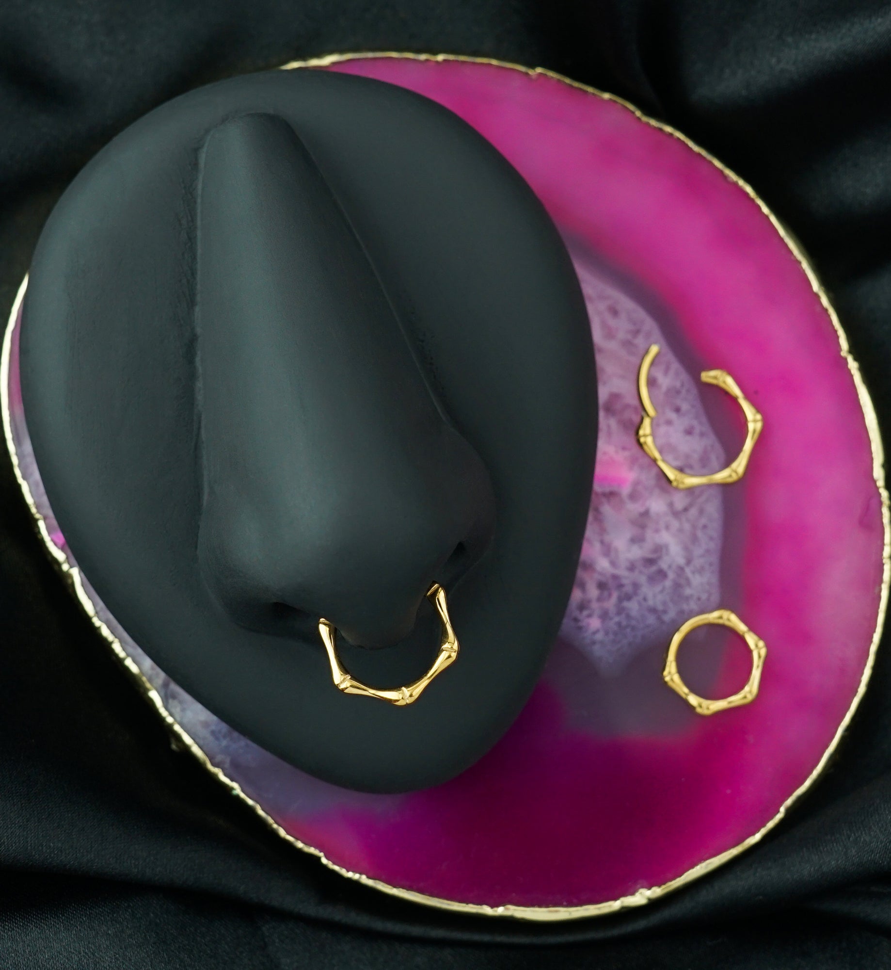 Gold PVD Joint Titanium Hinged Segment Ring