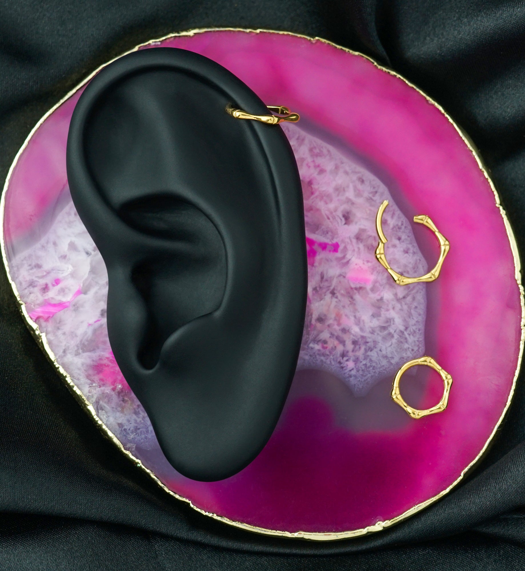 Gold PVD Joint Titanium Hinged Segment Ring