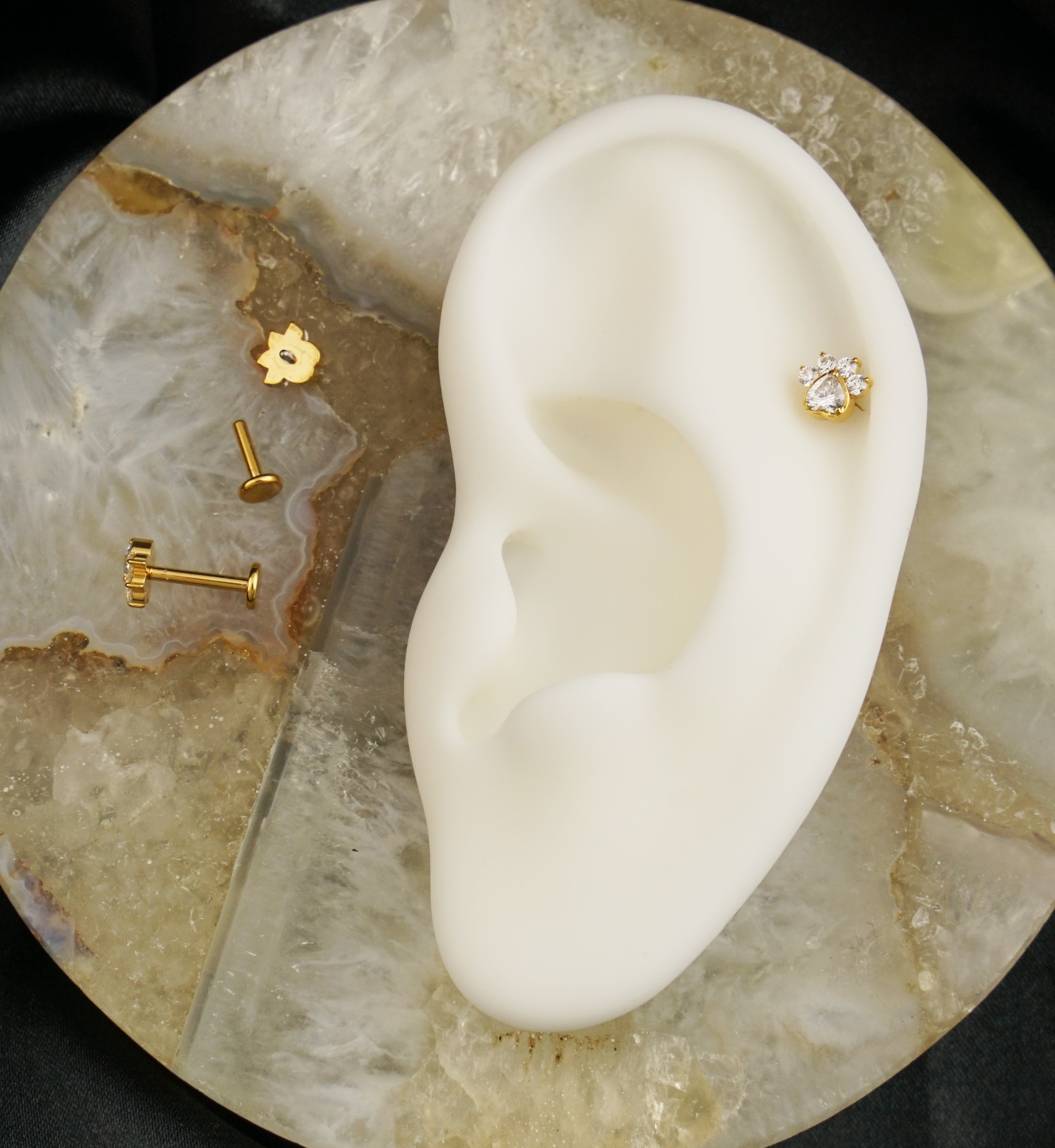 Gold PVD Paw Print Love Clear CZ Internally Threaded Titanium Labret