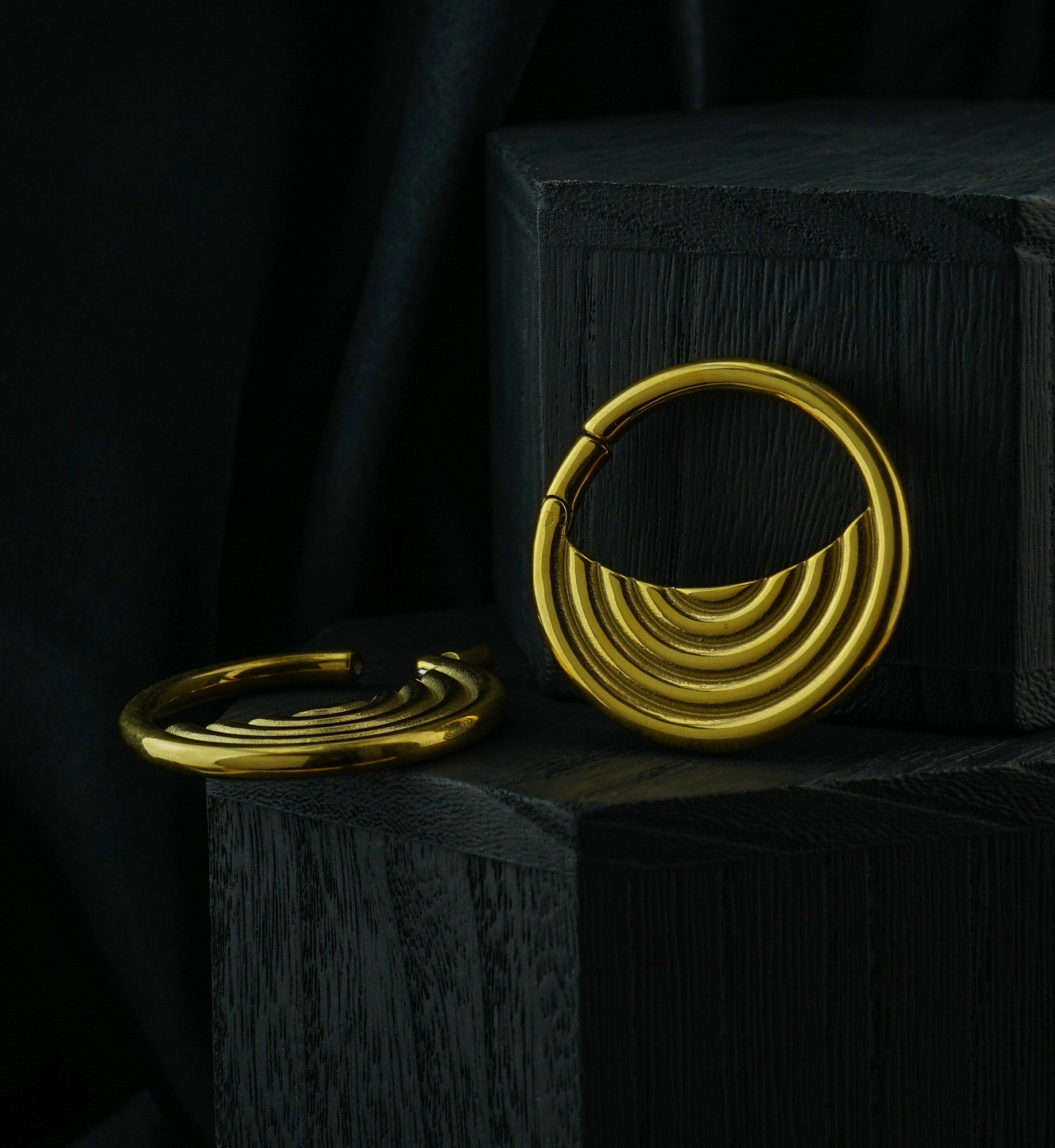 Gold PVD Radial Stainless Steel Hinged Ear Weights