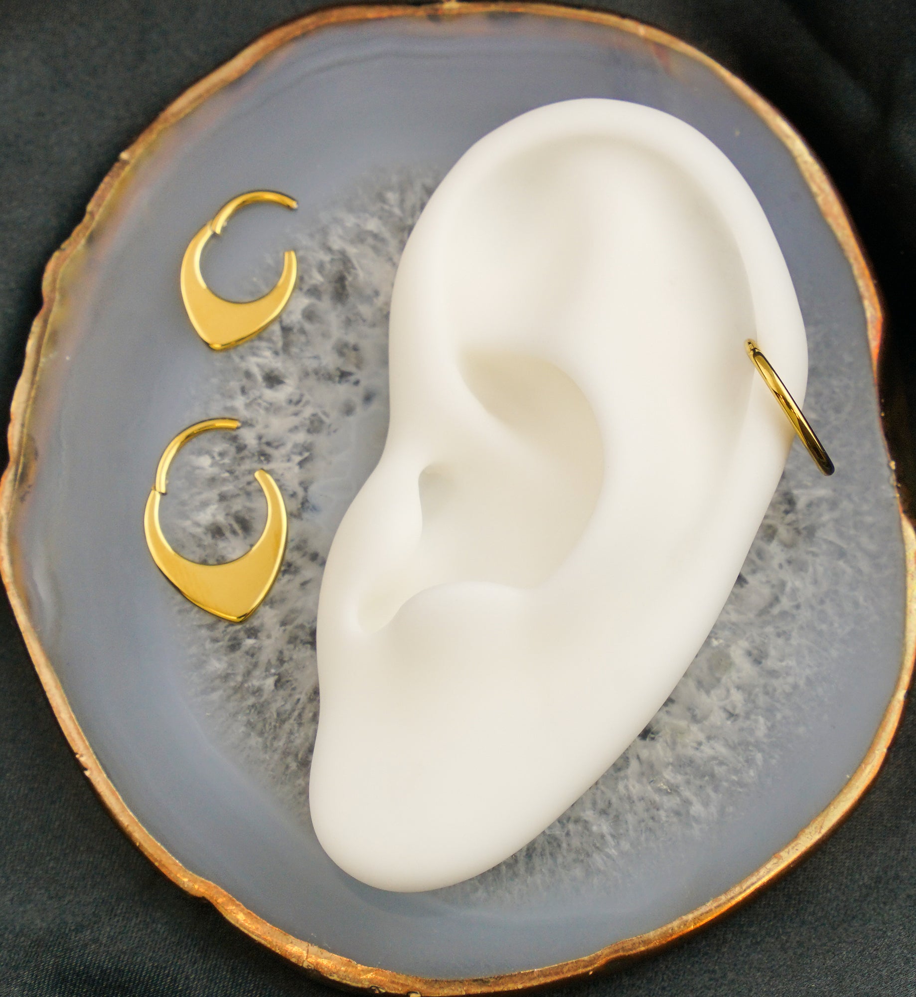 Gold PVD Rounded Point Titanium Hinged Segment Ring