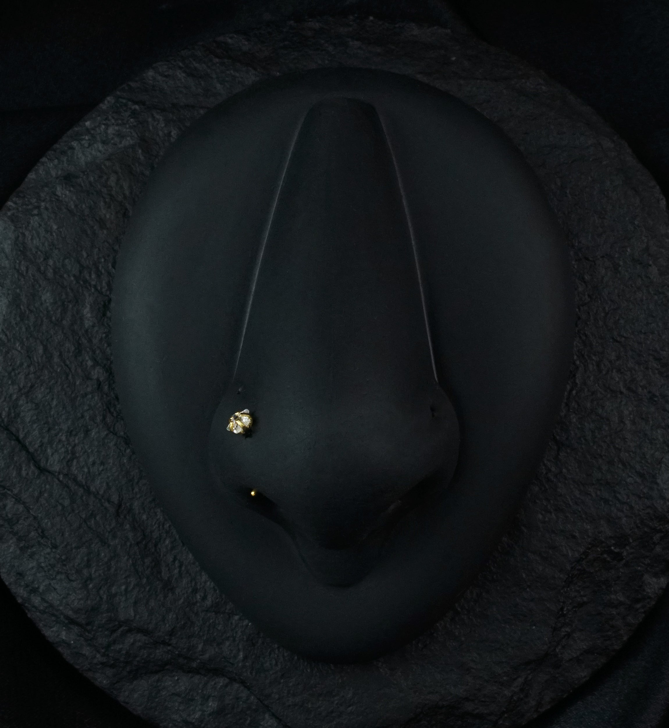 Gold PVD Star CZ Prong L Bend Nose Ring