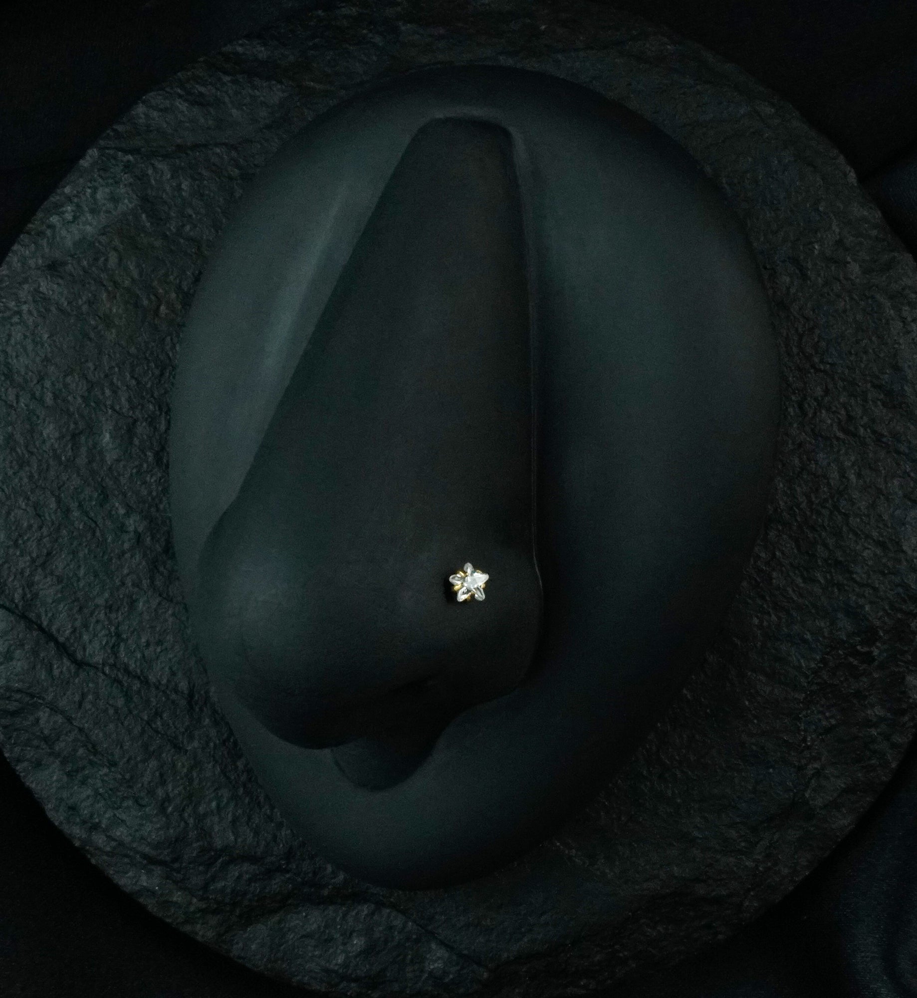 Gold PVD Star CZ Stainless Steel Nose Screw