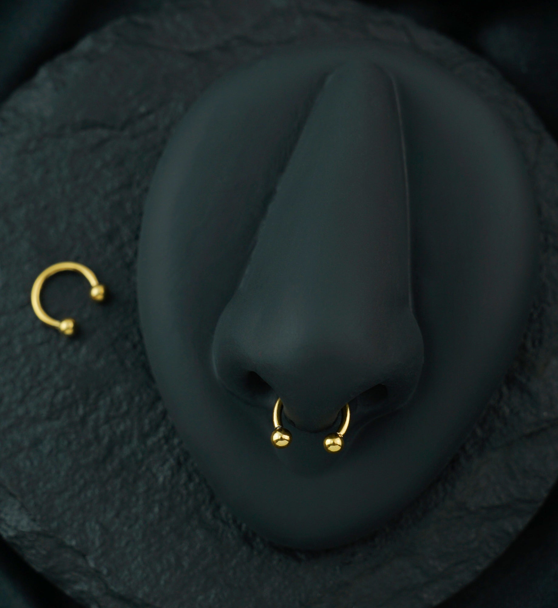 Gold PVD Titanium Circular Barbell