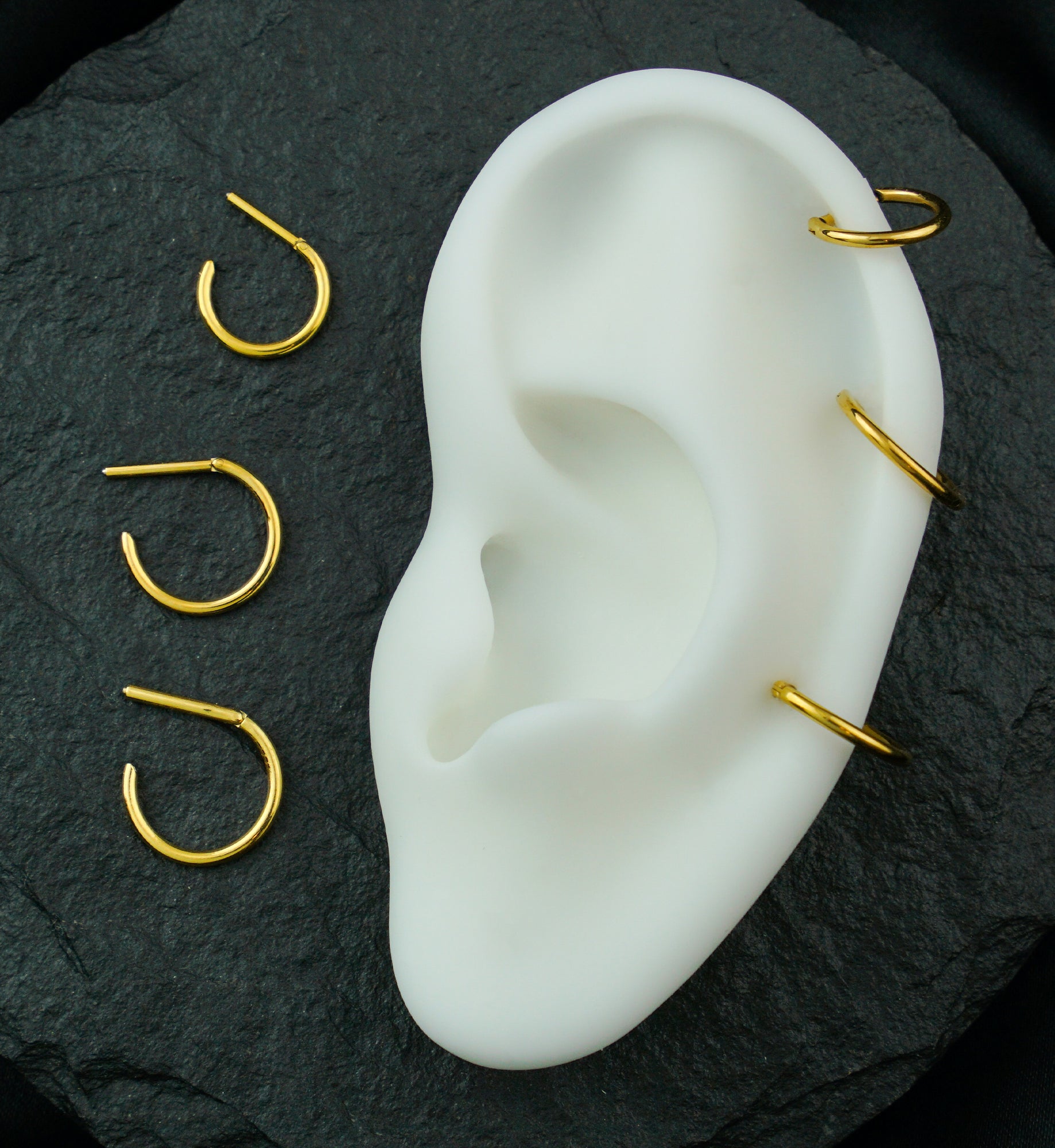 Gold PVD Titanium D-Shaped Hinged Segment Ring