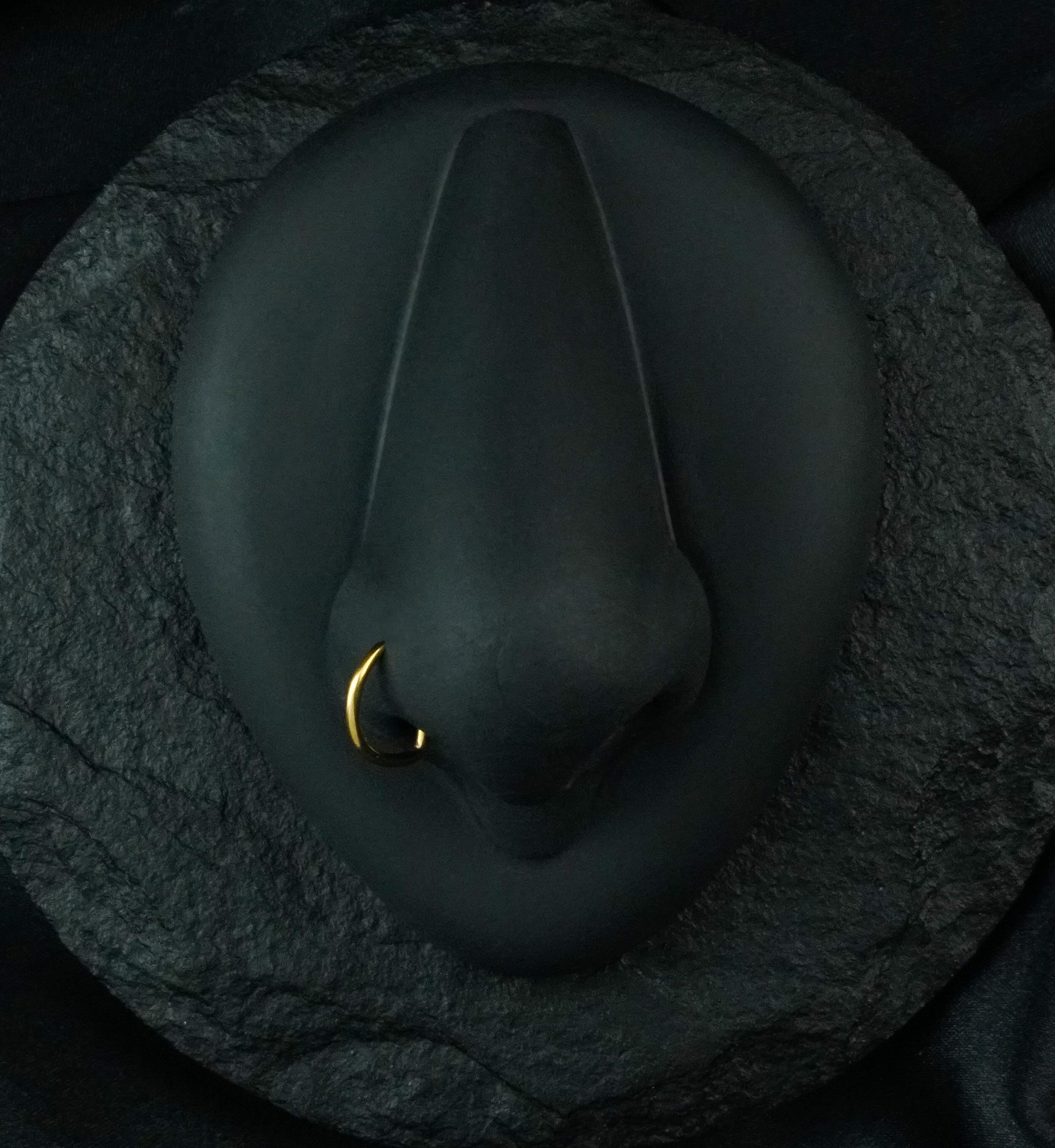 Gold PVD Titanium Flat Nose Curve Ring