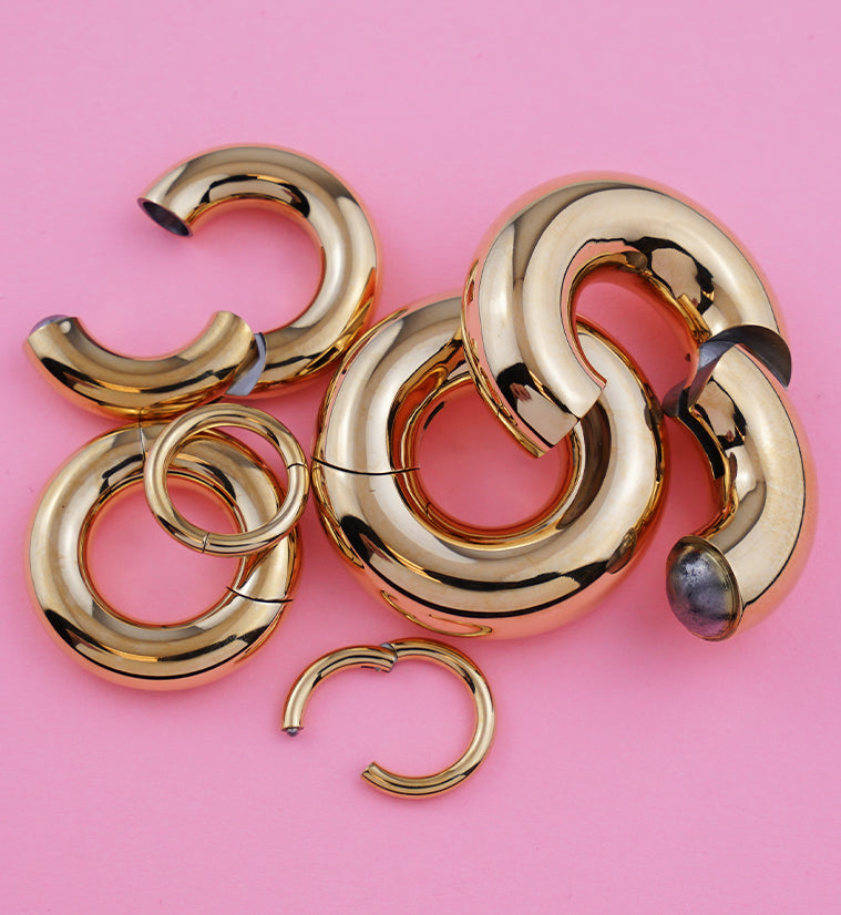 Gold PVD Titanium Hinged Segment Ring