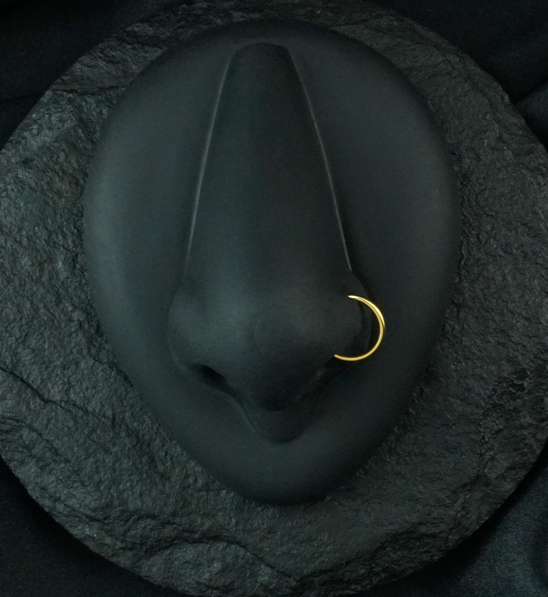 Gold PVD Titanium Nose Ring Hoop