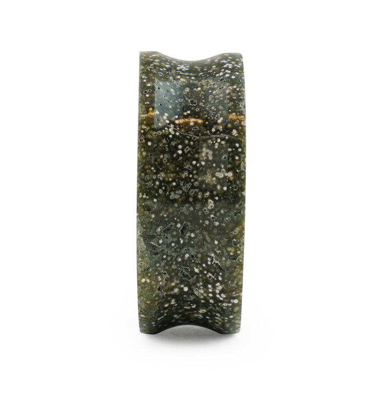 Grade A Ocean Jasper Stone Plugs