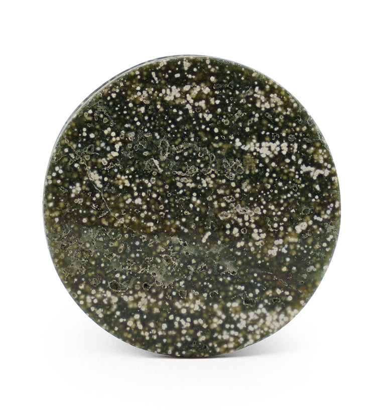 Grade A Ocean Jasper Stone Plugs