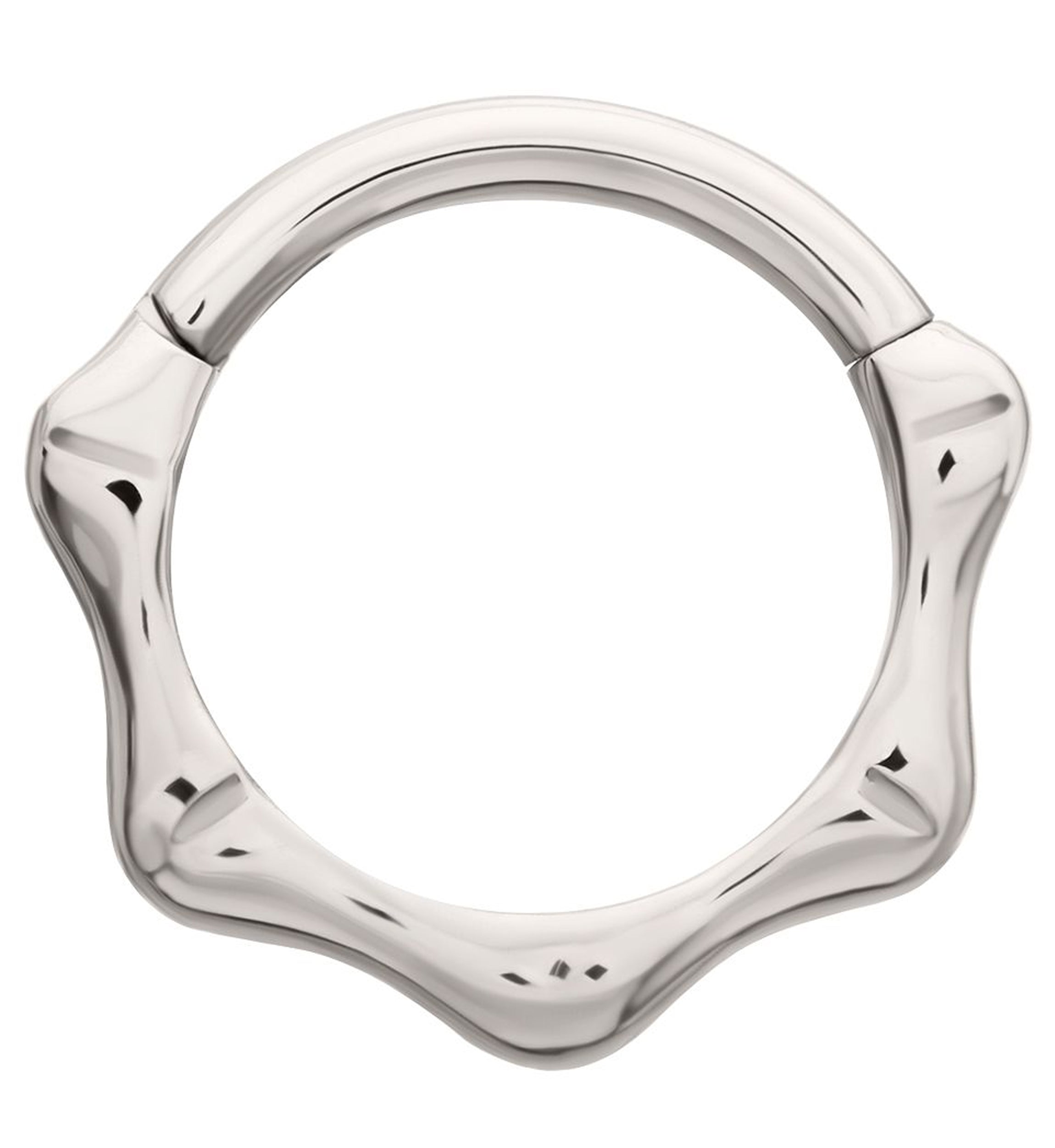 Joint Titanium Hinged Segment Ring