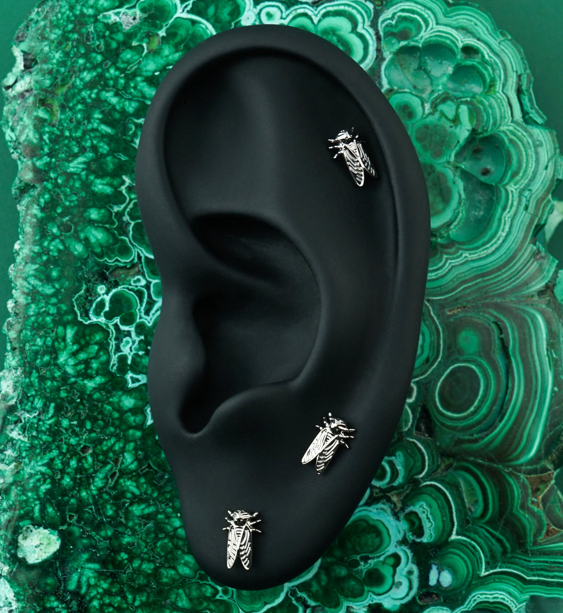 Locust Titanium Threadless Top