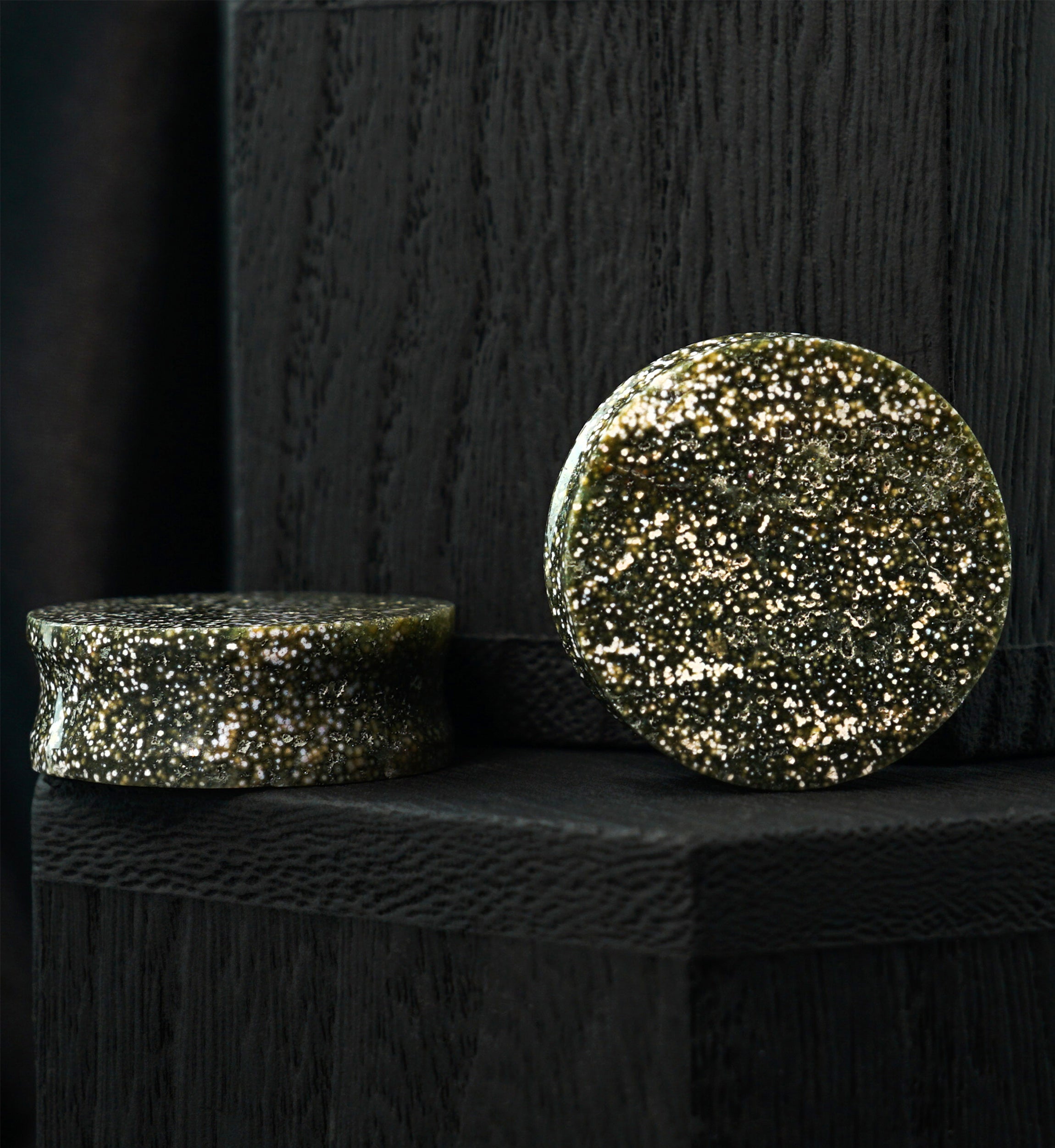 Ocean Jasper Stone Plugs 1" (25mm) Version 1