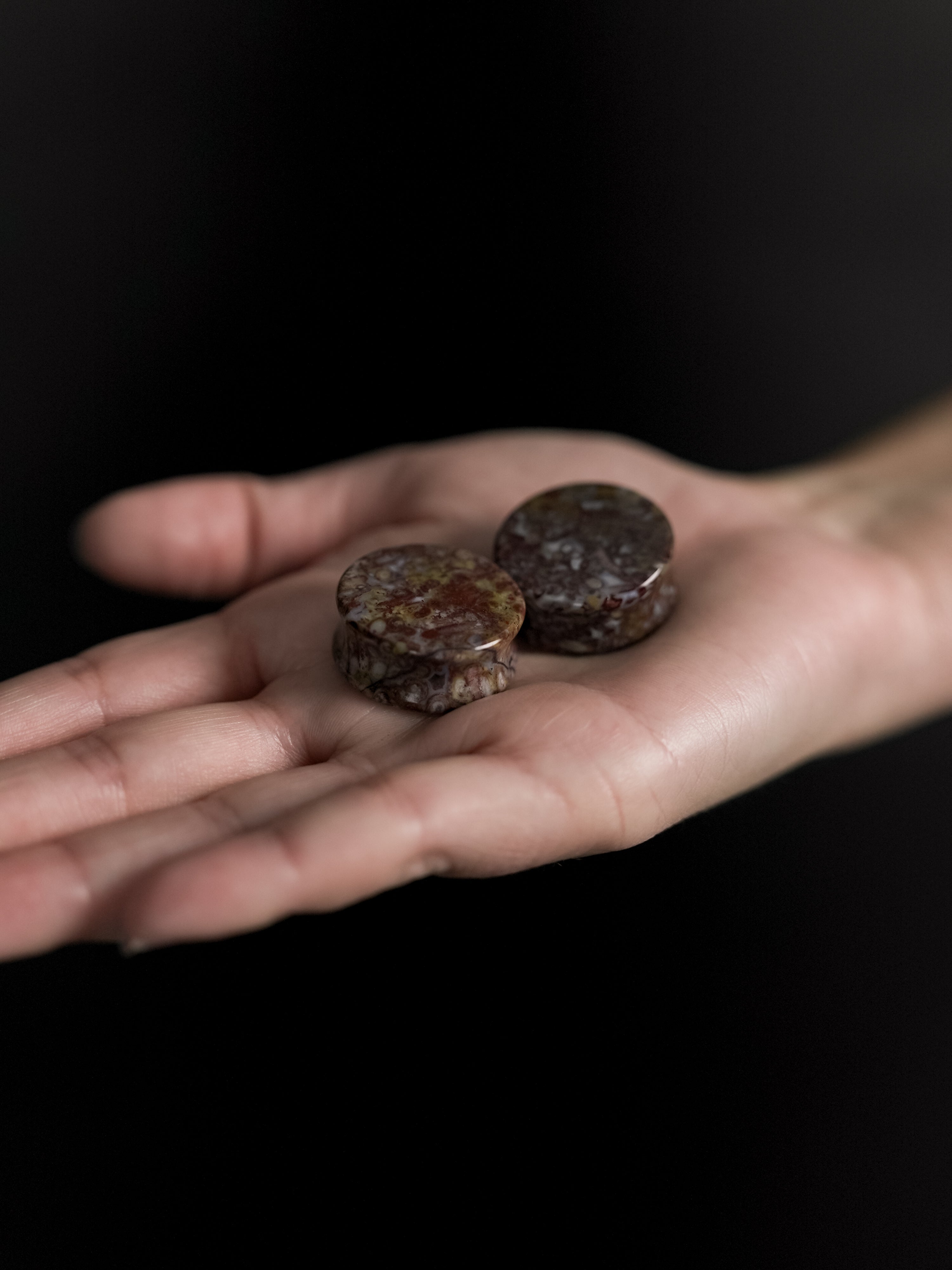 Petrified Palm Root Agate Plugs