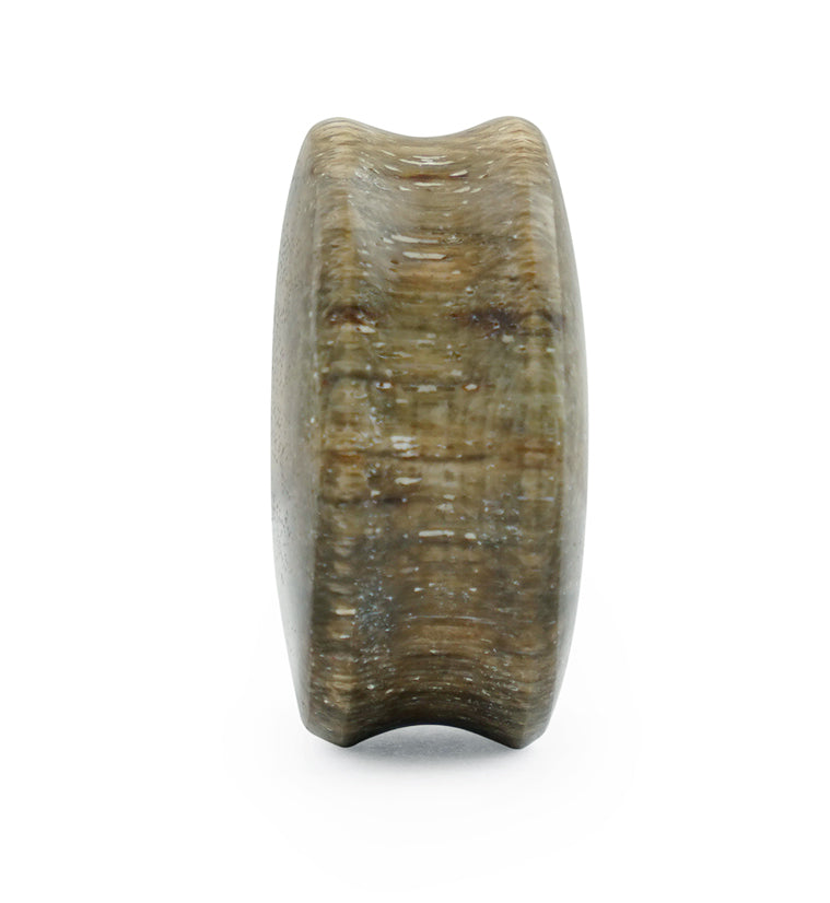 Petrified Wood Plugs