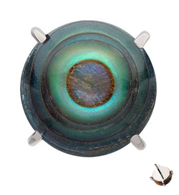 Prong Abalone Shell Titanium Threadless Top