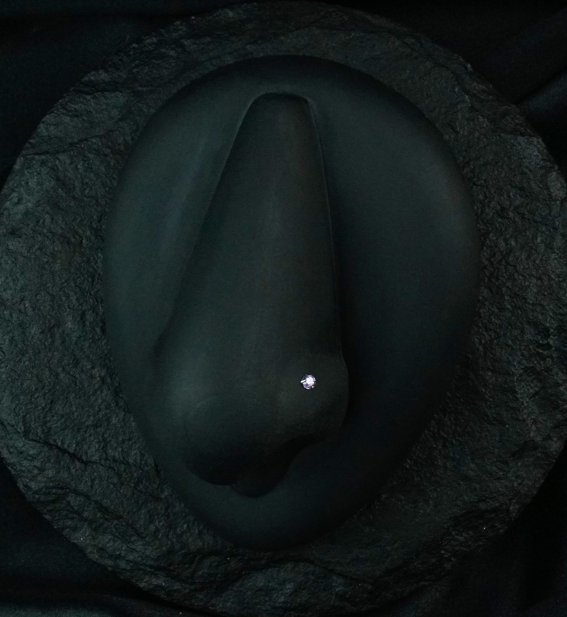 Purple CZ Titanium Nose Screw