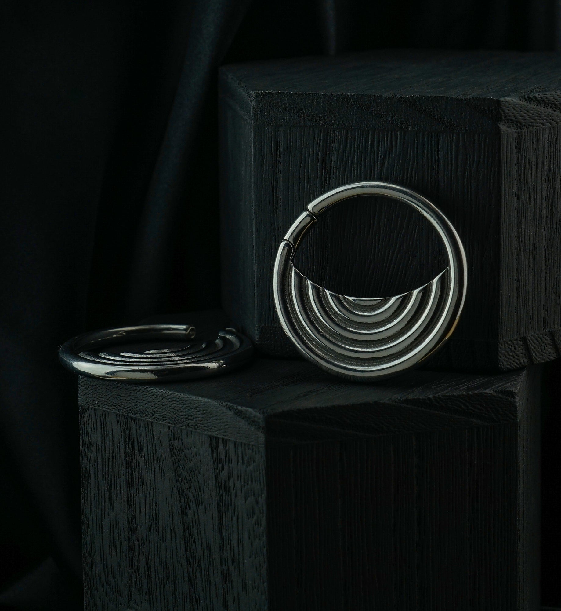 Radial Stainless Steel Hinged Ear Weights