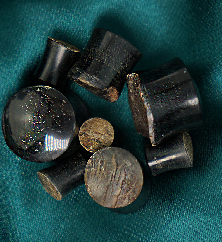 Raw Buffalo Horn Plugs
