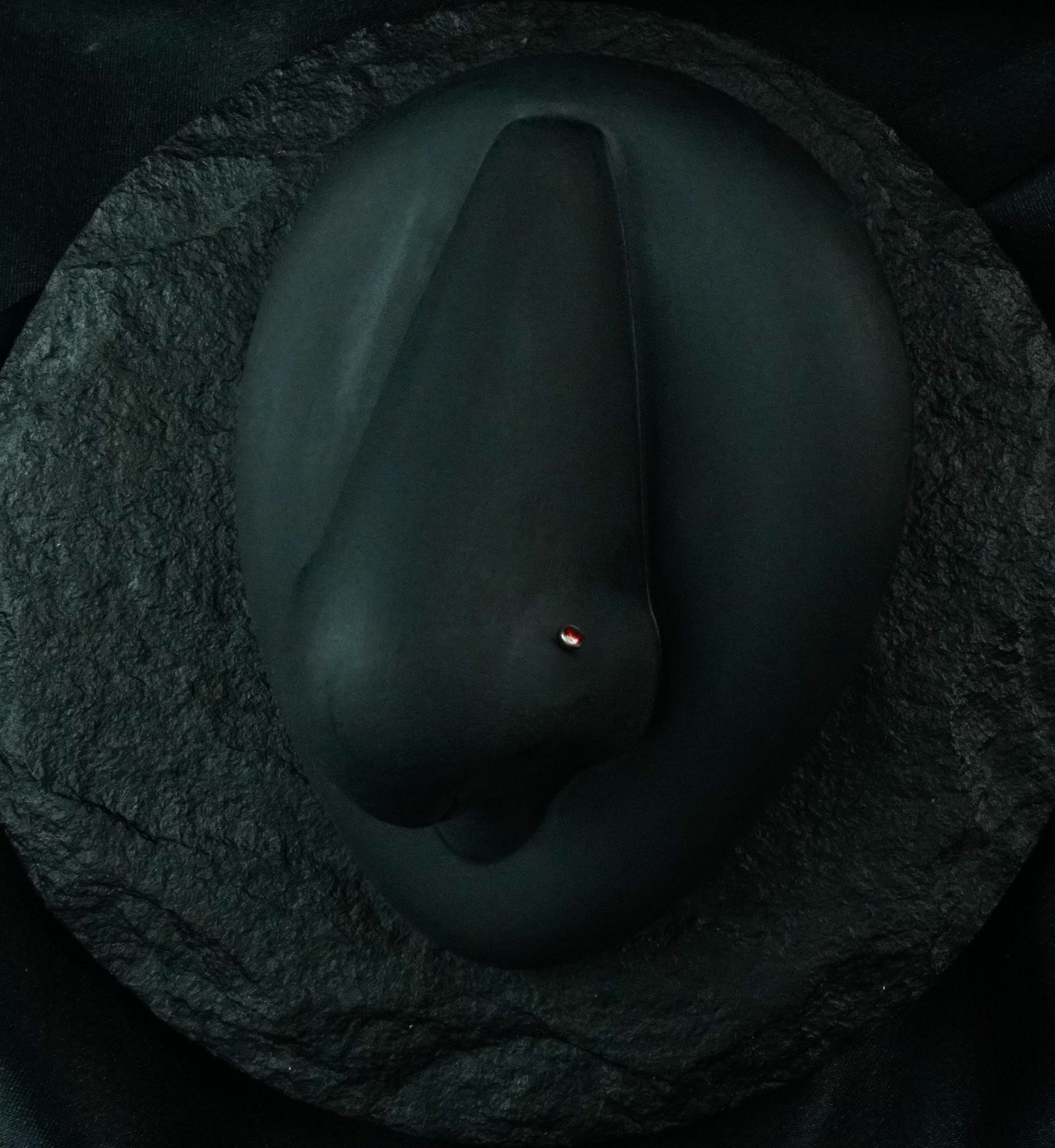 Red CZ Top L Bend Titanium Nose Ring