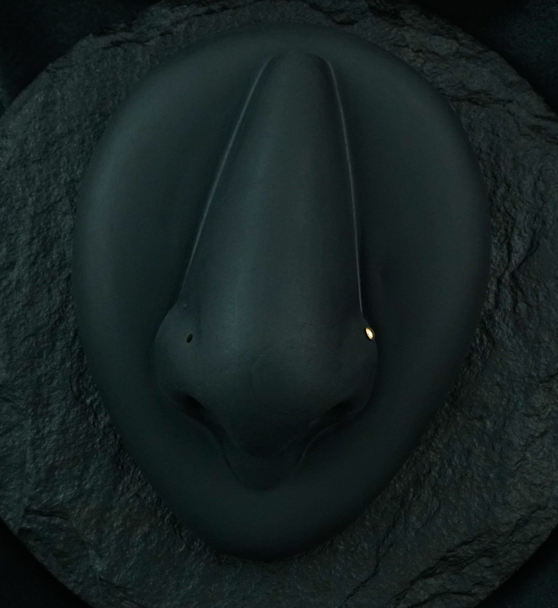 Rose Gold PVD Dome Top L Bend Nose Ring